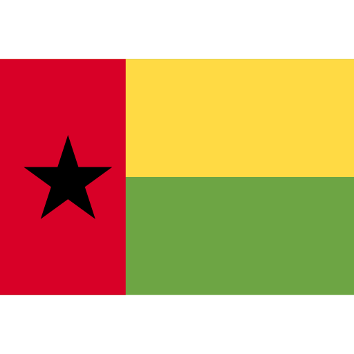 #{country.flagiso} Flag